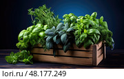 thyme fresh herbs on dark blue ai generated. Стоковое AI-изображение, AI-художник Vectorwin / Фотобанк Лори