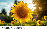 light sun solar Finally ai generated. Стоковое AI-изображение, AI-художник Vectorwin / Фотобанк Лори