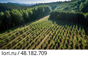 sustainable regenerative agriculture ai generated. Стоковое AI-изображение, AI-художник Vectorwin / Фотобанк Лори