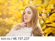 Портрет красивой девушки со светло-каштановыми волосами возле кустов с желтой листвой в осеннем парке. Привлекательная молодая женщина в белом свитере смотрит в сторону. Осенний сезон. Золотая осень. Стоковое фото, фотограф Андрей Степанов / Фотобанк Лори