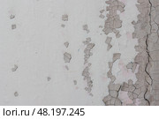 Peeling paint on the wall. Old concrete wall with cracked flaking paint. Weathered rough painted surface with patterns of cracks and peeling. Grunge texture for background and design. High resolution. Стоковое фото, фотограф Андрей Степанов / Фотобанк Лори