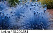 visual blue fescue ai generated. Стоковое AI-изображение, AI-художник Vectorwin / Фотобанк Лори