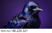 photograph purple martins ai generated. Стоковое AI-изображение, AI-художник Vectorwin / Фотобанк Лори