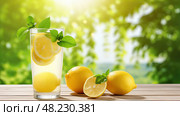 sunny organic lemon yellow ai generated. Стоковое AI-изображение, AI-художник Vectorwin / Фотобанк Лори