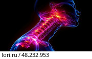 A detailed view of human neck anatomy that highlights the spinal column and nerve pathways, showcasing vibrant colors against a dark backdrop. Стоковое AI-изображение, AI-художник Данила Большаков / Фотобанк Лори