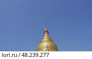 Golden pagoda in Kuthodaw temple in Mandalay (2016 год). Стоковое видео, видеограф Михаил Коханчиков / Фотобанк Лори