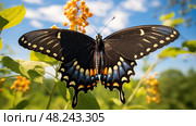 wings eastern black swallowtail ai generated. Стоковое AI-изображение, AI-художник Vectorwin / Фотобанк Лори