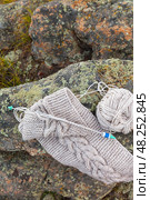 Knitting as leisure and outdoor recreation. Top view of warm hand-knitted scarf with braid made of natural wool yarn on knitting needles against mossy stones in forest park. Close-up, copy space. Стоковое фото, фотограф Виктория Катьянова / Фотобанк Лори