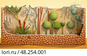 hemiulose plant cell wall ai generated. Стоковое AI-изображение, AI-художник Vectorwin / Фотобанк Лори