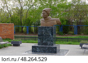 Бюст В.И. Чапаева в селе Чесма на улице Чапаева, Челябинская область. Редакционное фото, фотограф Алексей Иванов / Фотобанк Лори