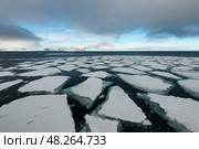 Sea ice in the Barents Sea near Franz Josef Land in summer. Стоковое фото, фотограф Vladimir / Фотобанк Лори