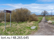 Дорожка к дубу черешчатому (Quercus robur L.) - памятнику живой природы всероссийского значения. Деревня Ириновка во Всеволожском районе Ленинградской области. Редакционное фото, фотограф Румянцева Наталия / Фотобанк Лори