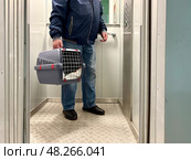 An elderly man holds a cat in a carrier. Pet transportation. Overexposure of a pet. Elevator. Стоковое фото, фотограф Терехова Марина / Фотобанк Лори