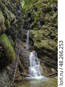Экотропа через водопад (по Via Ferrata), национальный парк Словацкий рай,Словакия. Стоковое фото, фотограф Дымов Игорь / Фотобанк Лори