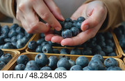 Woman buy blueberry market, close-up hands, berries emporium. AI Generative. Стоковое AI-видео, аниматор Spirit River / Фотобанк Лори