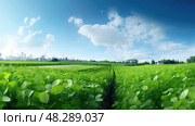 plants nitrogen element ai generated. Стоковое AI-изображение, AI-художник Vectorwin / Фотобанк Лори