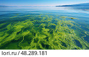 lake filamentous algae ai generated. Стоковое AI-изображение, AI-художник Vectorwin / Фотобанк Лори