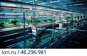 filtration aquatic fish farm ai generated. Стоковое AI-изображение, AI-художник Vectorwin / Фотобанк Лори