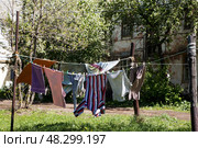 Бельё сушится на веревке во дворе. Стоковое фото, фотограф Ольга Дубровская / Фотобанк Лори