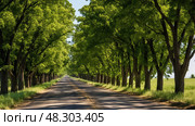 sunlight osage orange tree. Стоковое AI-изображение, AI-художник Vectorwin / Фотобанк Лори