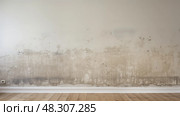 bulge water damage wall. Стоковое AI-изображение, AI-художник Vectorwin / Фотобанк Лори