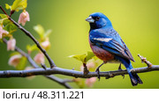plumage blue grosbeak ai generated. Стоковое AI-изображение, AI-художник Vectorwin / Фотобанк Лори
