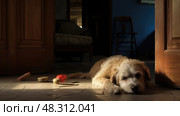 mixedbreed dog waiting by door ai generated. Стоковое AI-изображение, AI-художник Vectorwin / Фотобанк Лори