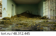 stagnant dirty water ai generated. Стоковое AI-изображение, AI-художник Vectorwin / Фотобанк Лори