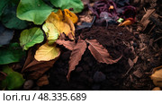 decomposition leaf compost ai generated. Стоковое AI-изображение, AI-художник Vectorwin / Фотобанк Лори