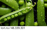 peas spring fruits and vegetables ai generated. Стоковое AI-изображение, AI-художник Vectorwin / Фотобанк Лори