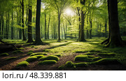 forestation global green ai generated. Стоковое AI-изображение, AI-художник Vectorwin / Фотобанк Лори
