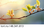 green budding tree ai generated. Стоковое AI-изображение, AI-художник Vectorwin / Фотобанк Лори
