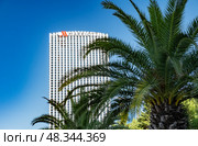Tall Marriott hotel building surrounded by palm trees under clear blue sky in a vibrant city atmosphere. Batumi, Georgia - October 04, 2024. Редакционное фото, фотограф Климов Денис / Фотобанк Лори
