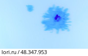 Падающая в воду капля синего красителя, вид сверху, Falling drop of blue dye in the water, top view. Стоковое видео, видеограф Александр Собко / Фотобанк Лори
