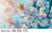 Concept: Spring bloom, Holiday: Easter, Purpose: Floral card - Tender white blossoms on a branch in the soft light. Стоковое AI-изображение, AI-художник Данила Большаков / Фотобанк Лори