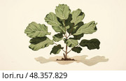 fiddleleaf house plant illustration ai generated. Стоковое AI-изображение, AI-художник Vectorwin / Фотобанк Лори