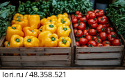 Bright yellow bell peppers and red tomatoes are neatly arranged in wooden crates at a local market, highlighting fresh seasonal produce ready for sale. Стоковое AI-изображение, AI-художник Данила Большаков / Фотобанк Лори