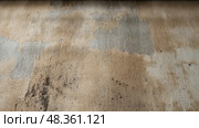 mold water damage texture ai generated. Стоковое AI-изображение, AI-художник Vectorwin / Фотобанк Лори