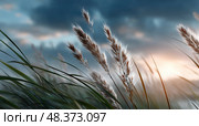 Grassy Marshland Swaying Gently in the Breeze at Sunset. Стоковое AI-изображение, AI-художник Юлия Гапеенко / Фотобанк Лори