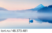 Majestic swan glides across tranquil lake at dawn, mountain silhouette reflected in the mist, a scene of serenity and peace. Стоковое AI-изображение, AI-художник Данила Большаков / Фотобанк Лори