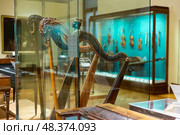 Old harps in showcase in Weltmuseum Wien, Austria (2022 год). Редакционное фото, фотограф Яков Филимонов / Фотобанк Лори