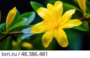 petals yellow jessamine ai generated. Стоковое AI-изображение, AI-художник Vectorwin / Фотобанк Лори