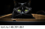 snug cat in small box ai generated. Стоковое AI-изображение, AI-художник Vectorwin / Фотобанк Лори
