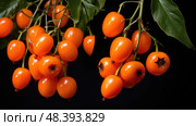 nightshade poisonous plant ai generated. Стоковое AI-изображение, AI-художник Vectorwin / Фотобанк Лори