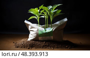 phosphorus plant nutrients ai generated. Стоковое AI-изображение, AI-художник Vectorwin / Фотобанк Лори