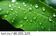 grn leaf e ai generated. Стоковое AI-изображение, AI-художник Vectorwin / Фотобанк Лори