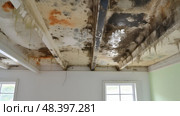 discoloration house roof damage ai generated. Стоковое AI-изображение, AI-художник Vectorwin / Фотобанк Лори