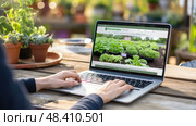 composting webinar green ai generated. Стоковое AI-изображение, AI-художник Vectorwin / Фотобанк Лори