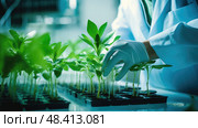 cloning plant test tube ai generated. Стоковое AI-изображение, AI-художник Vectorwin / Фотобанк Лори