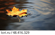 rflction leaf e ai generated. Стоковое AI-изображение, AI-художник Vectorwin / Фотобанк Лори